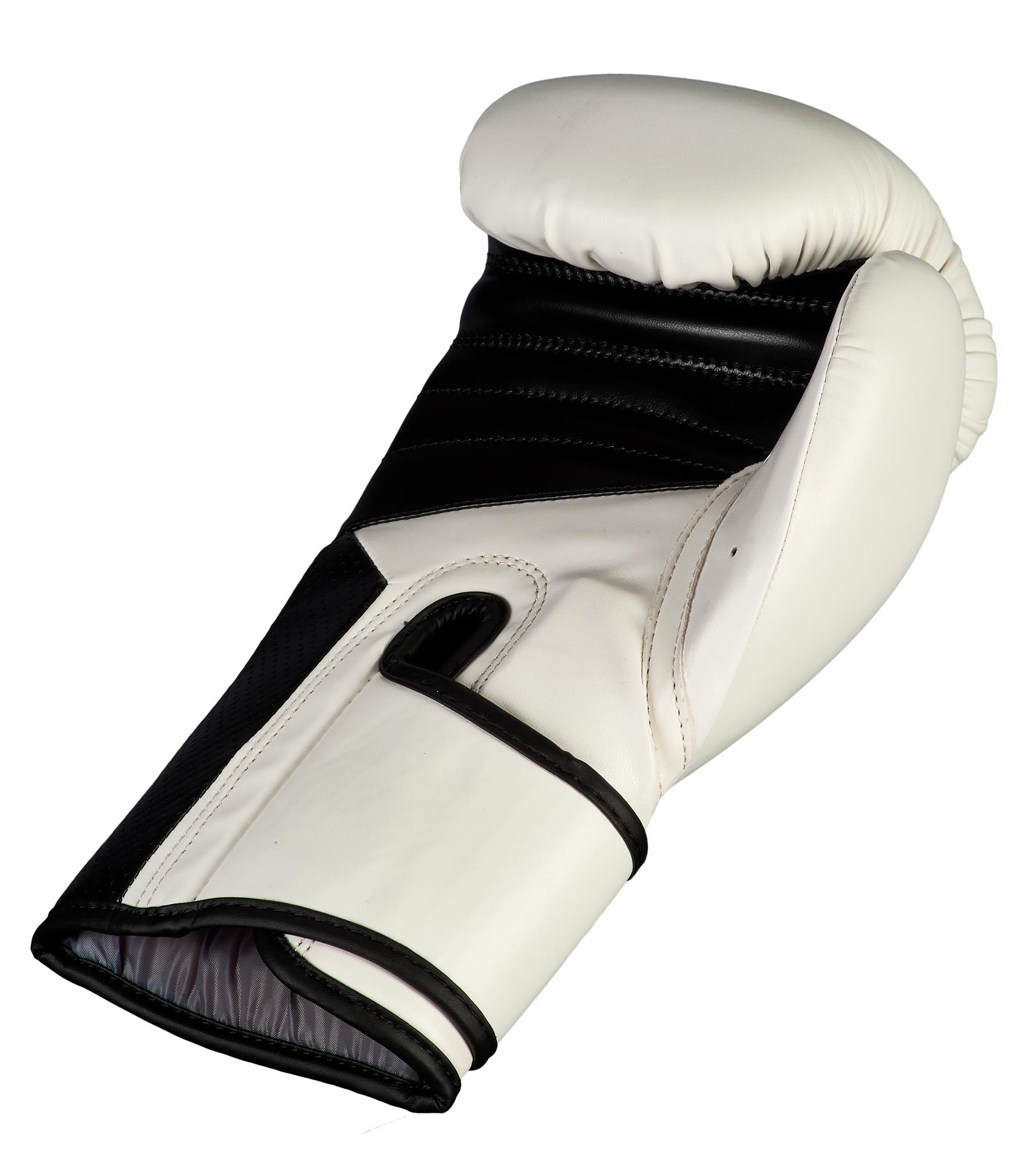 Boxhandschuh Training 2.0 white