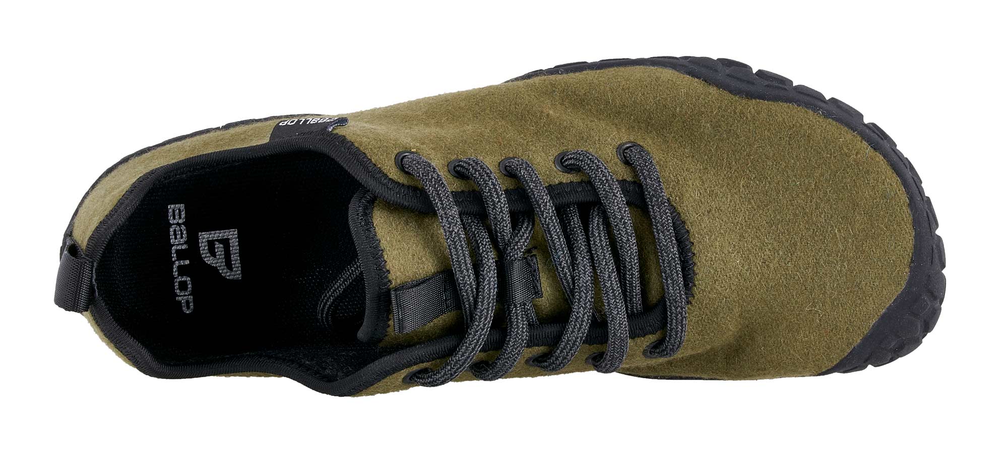 corso-olive-0464