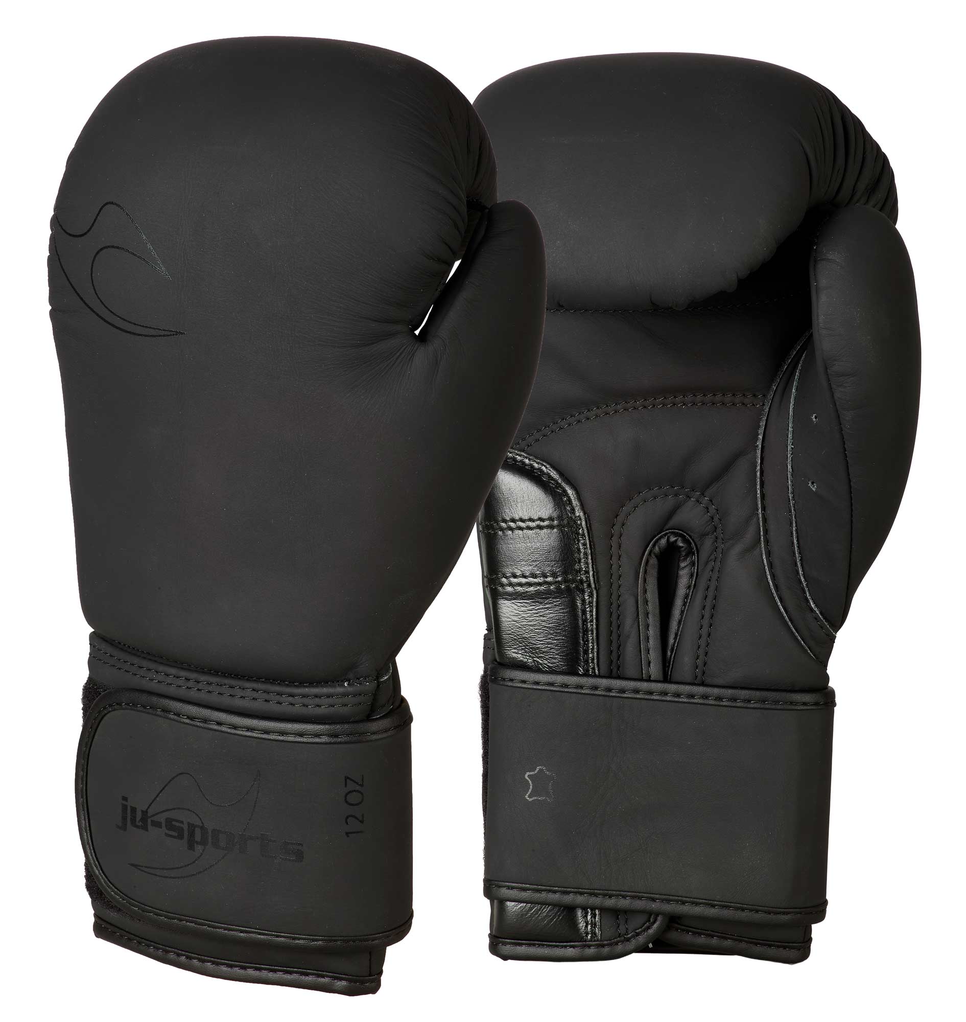 Boxing glove Training pro leather V2 black/black