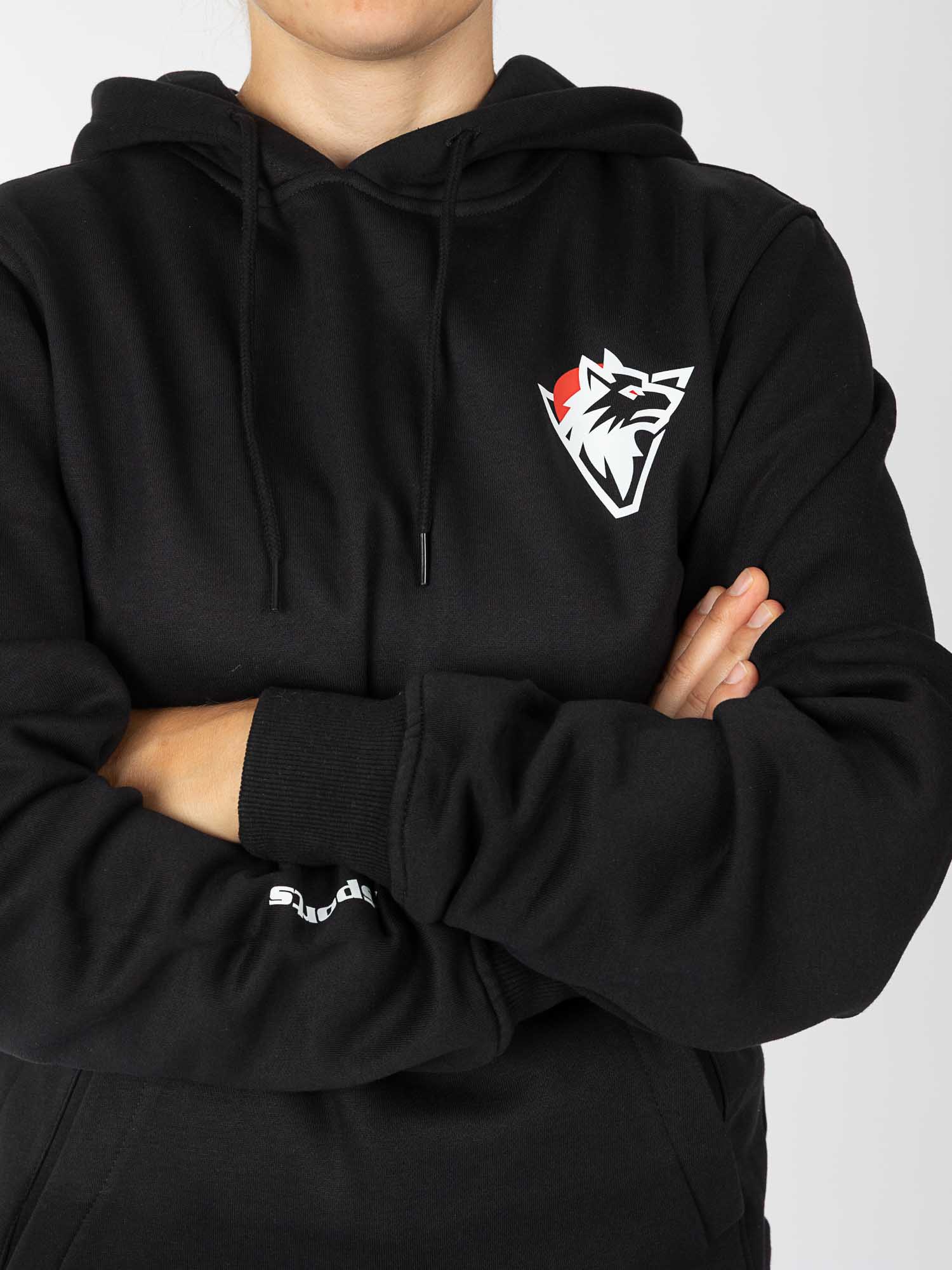 Hoodie, Schwarz, Logo, Pullover, Kapuze