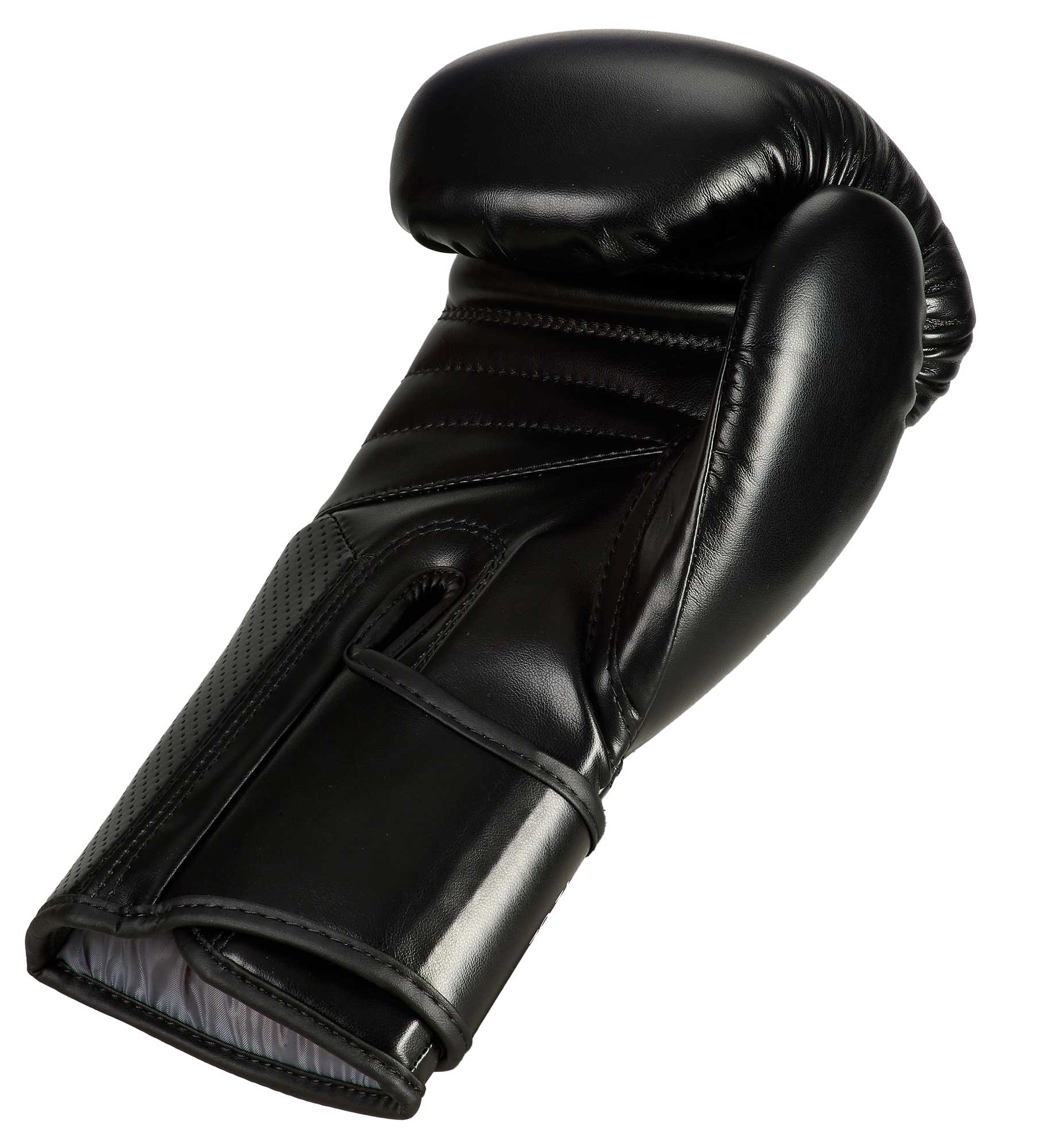 Boxhandschuh Training 2.0 black