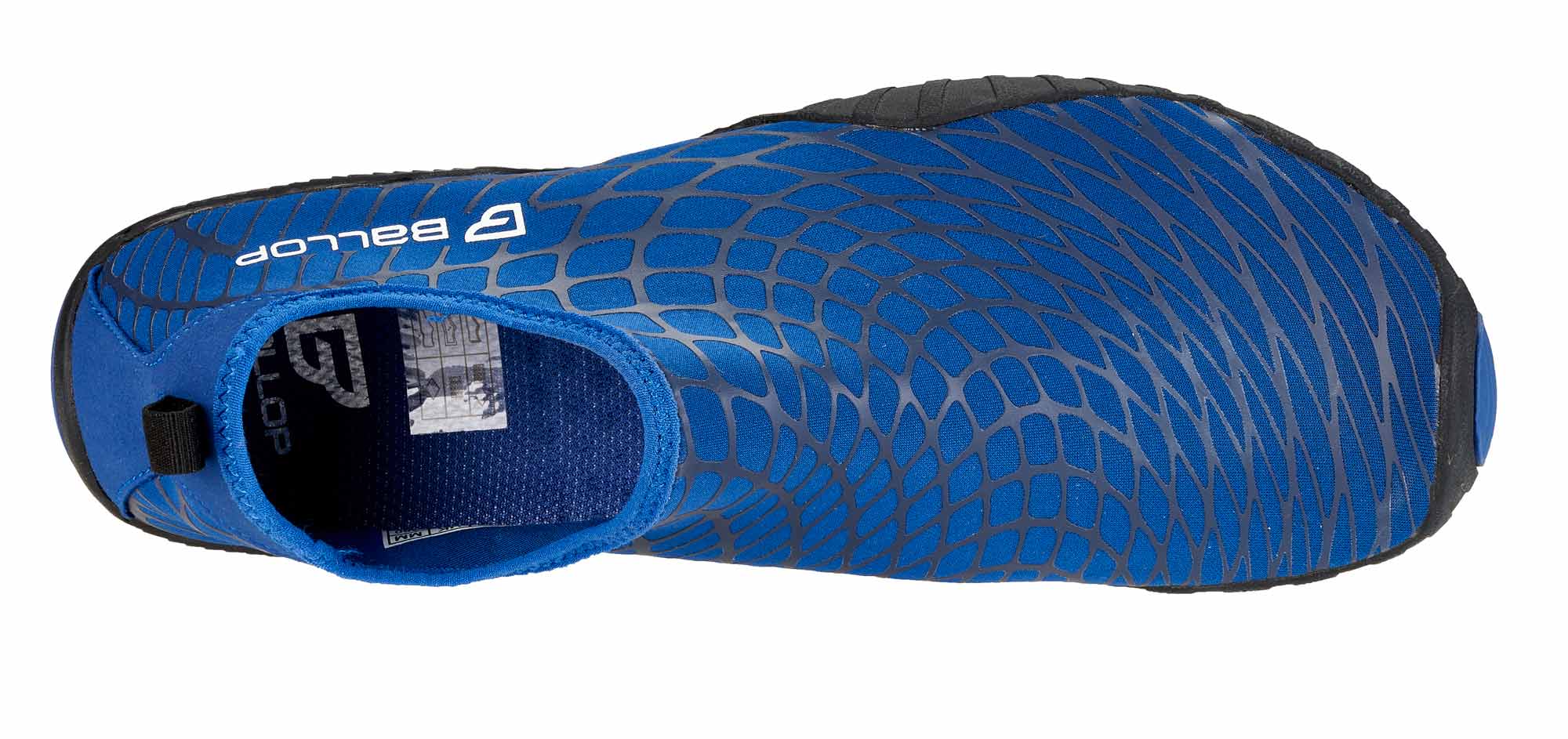 Spider-blue-newLogo-1224