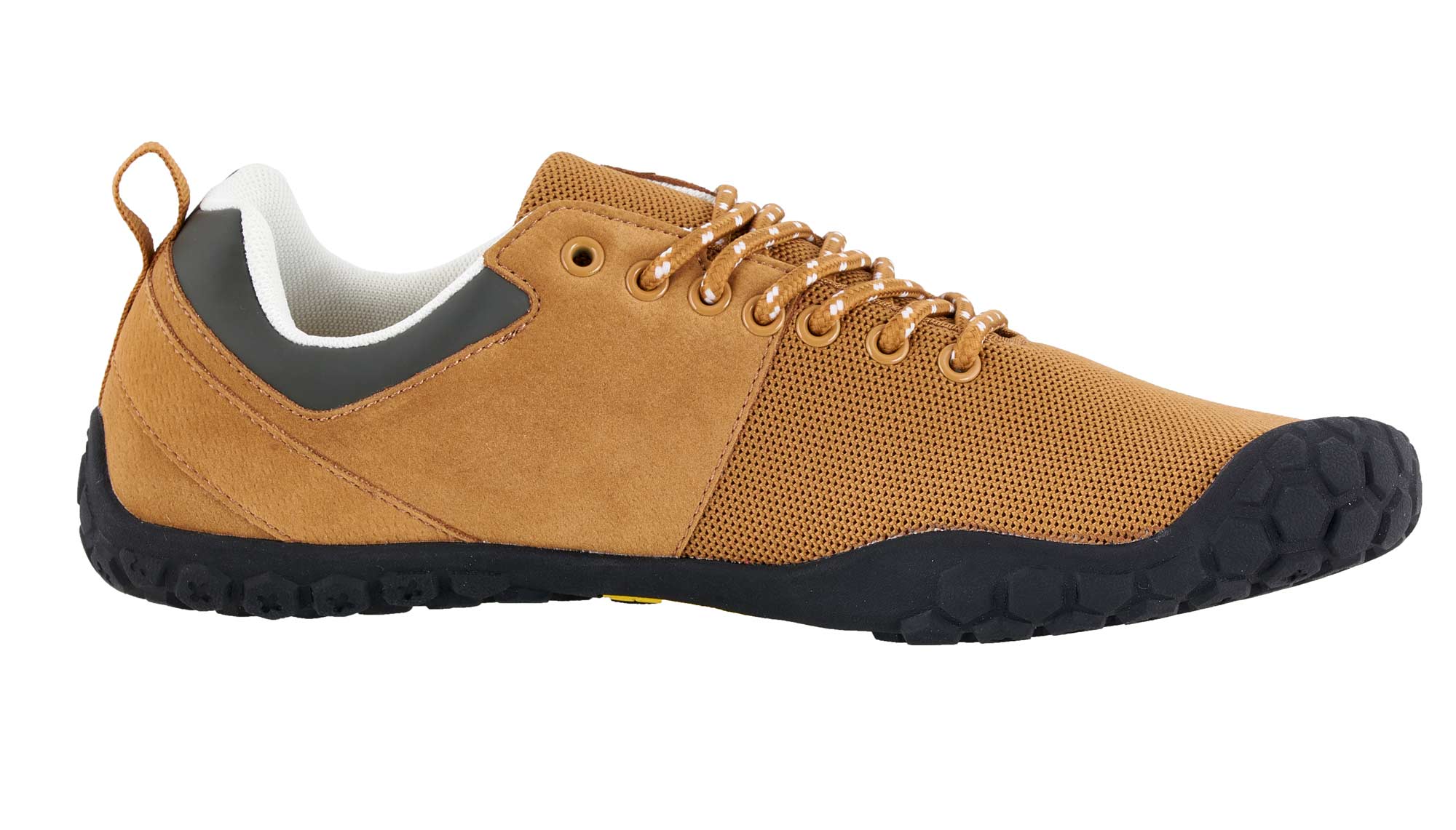 bneed-brown-0447