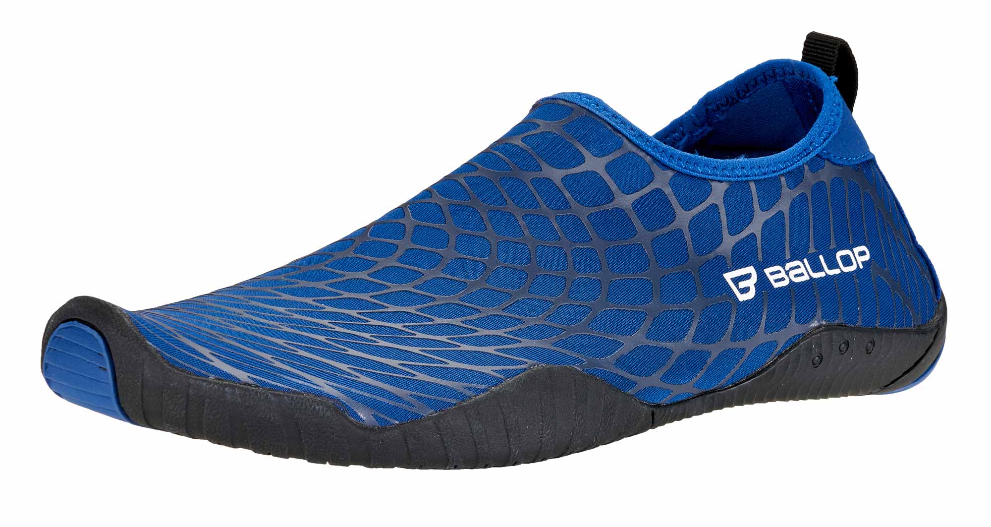 Spider-blue-newLogo-1221
