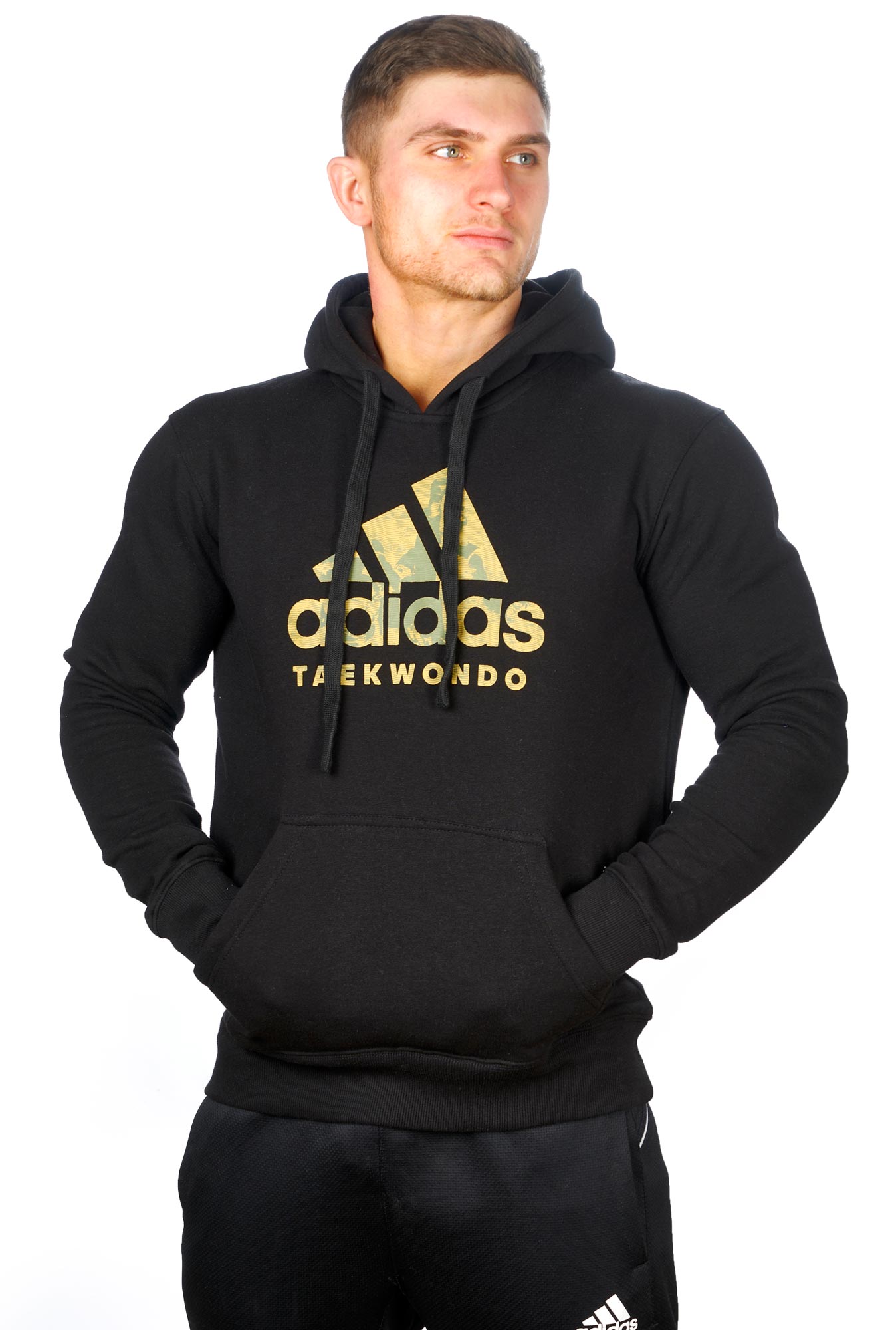 adidas Badge of Sport Hoody Taekwondo schwarz, adiCLHD20T