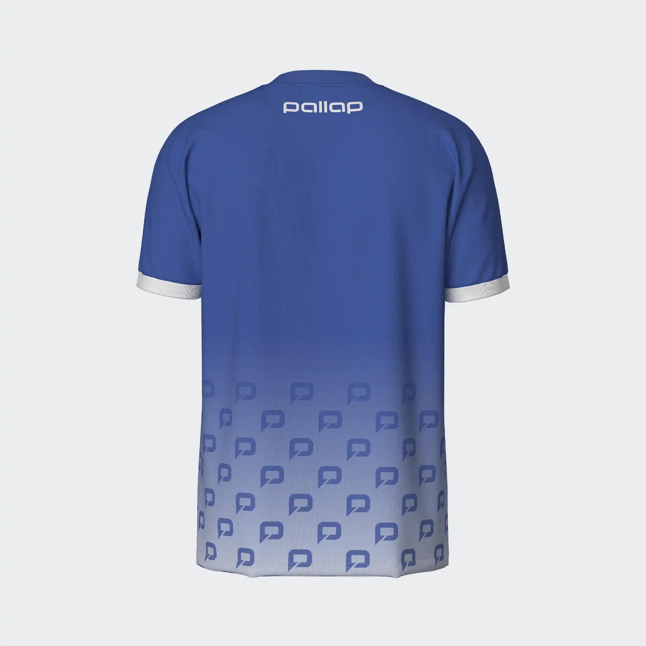 2_PTT004ABW-pallap-padel-sport-apparel-men-technical-pro-tshirt-amparo-blue-white-back