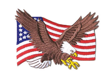 Patch USA eagle