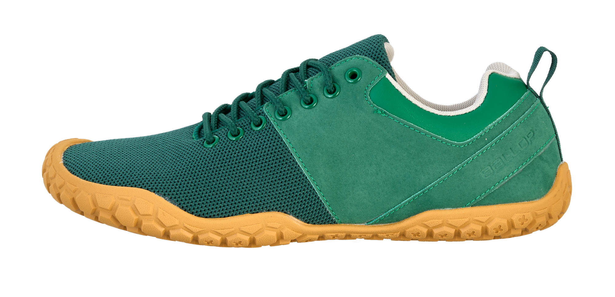 bneed-olive-02