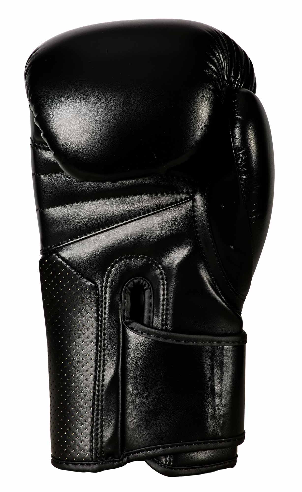 Bulk Set Boxing Glove Training 2.0 Academy (5 pairs)