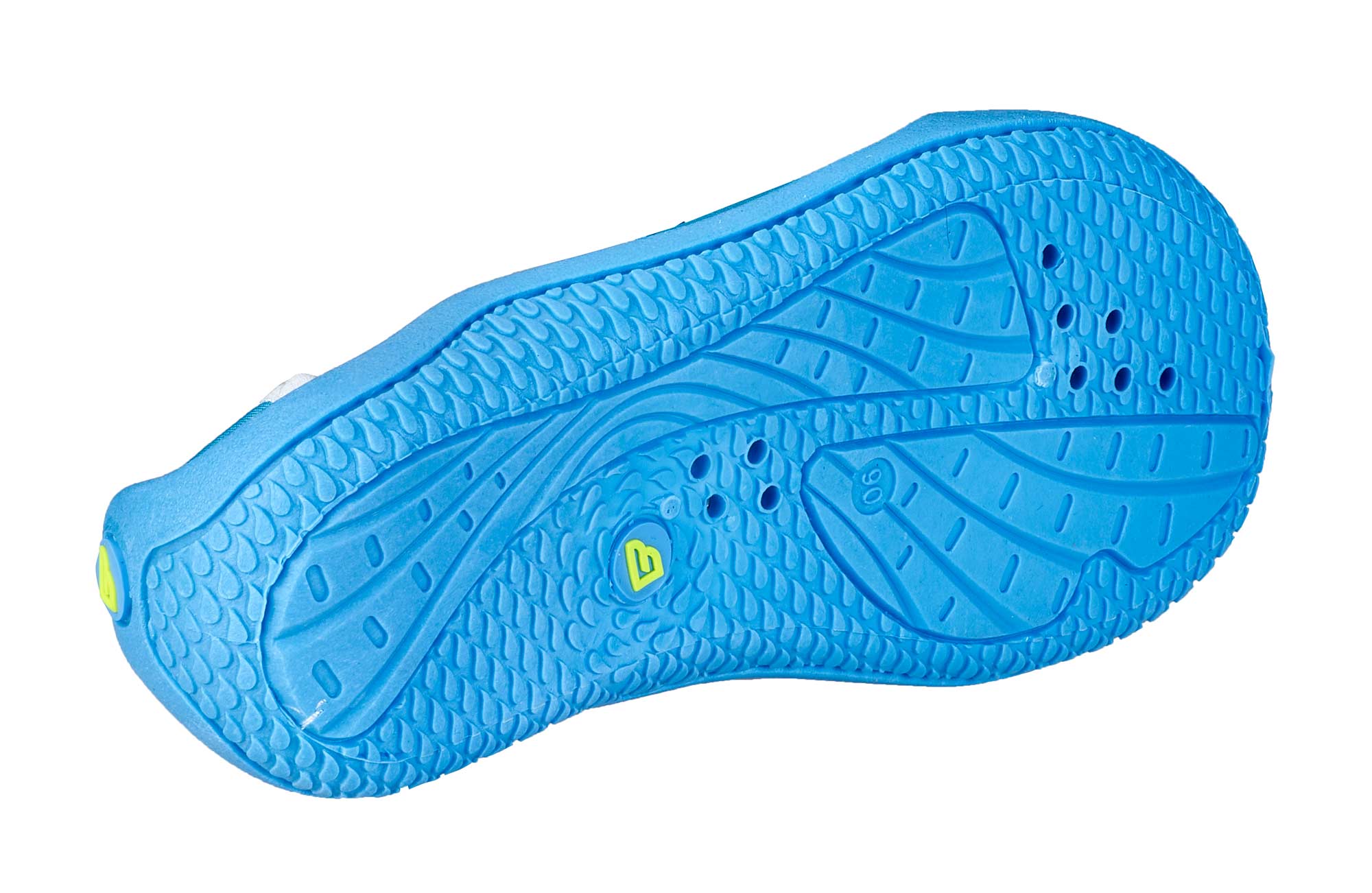 shark-blue-0288