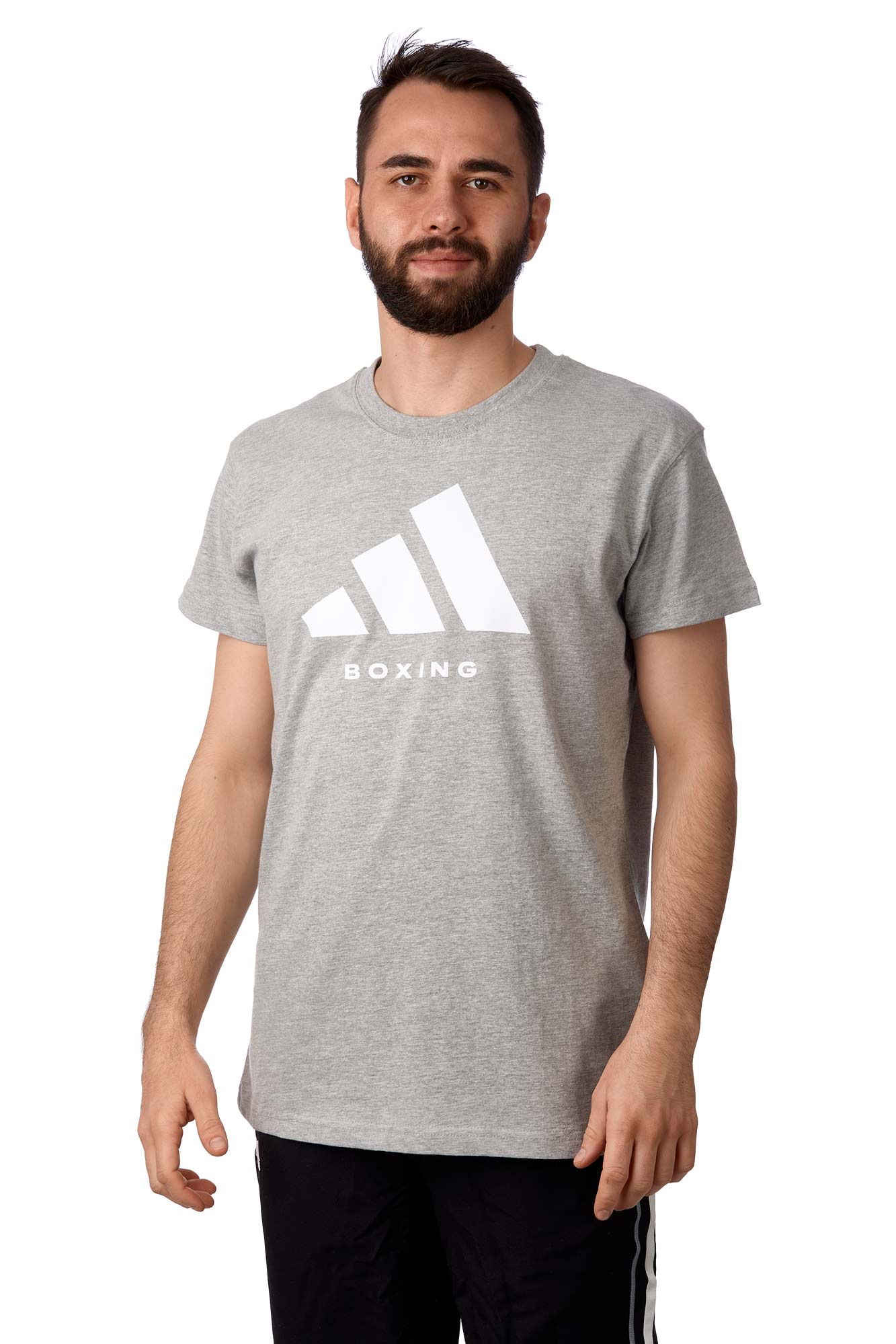 adidas Community Graphic Tee Boxing grau, adiCLTS24-B