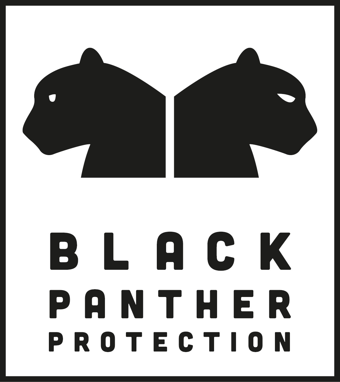 Black Panther Protection