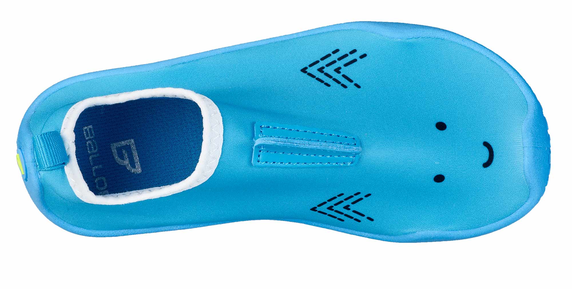shark-blue-05