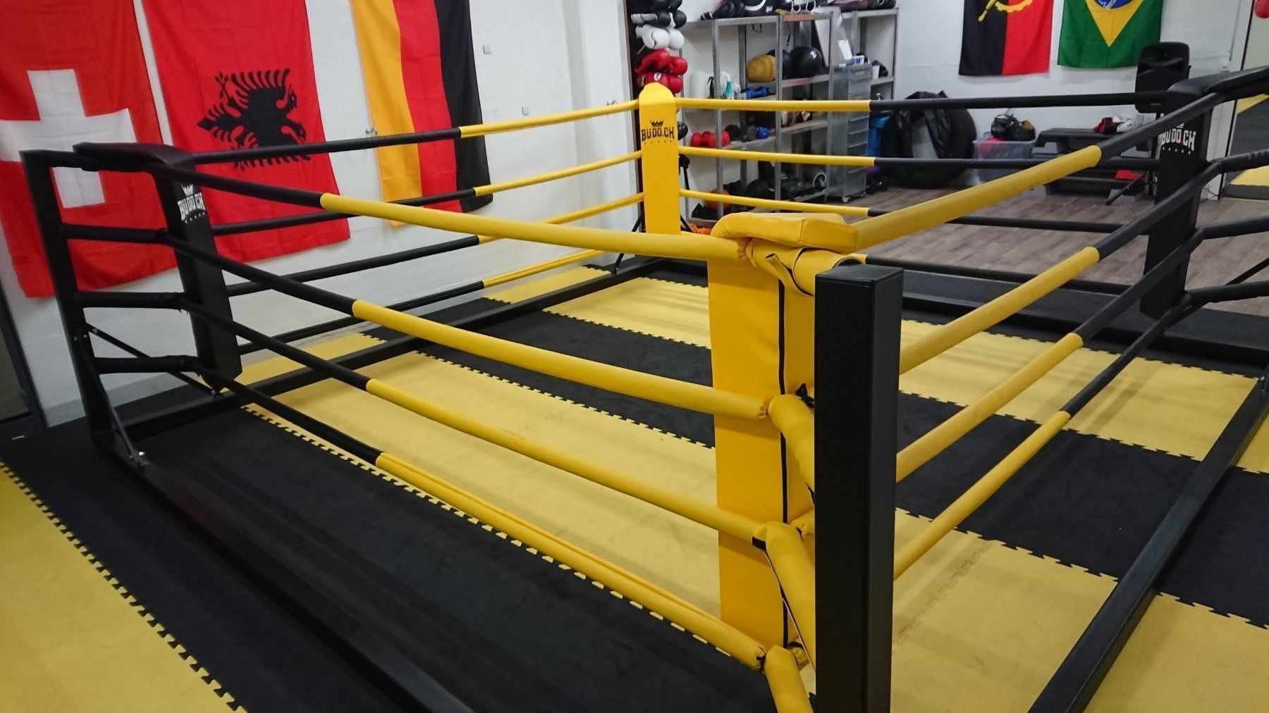 Anfrage Angebot für Boxring (für MMA und Boxen/Kickboxen)