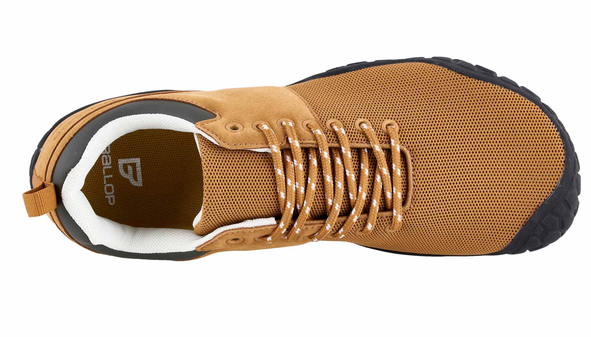 bneed-brown-0448