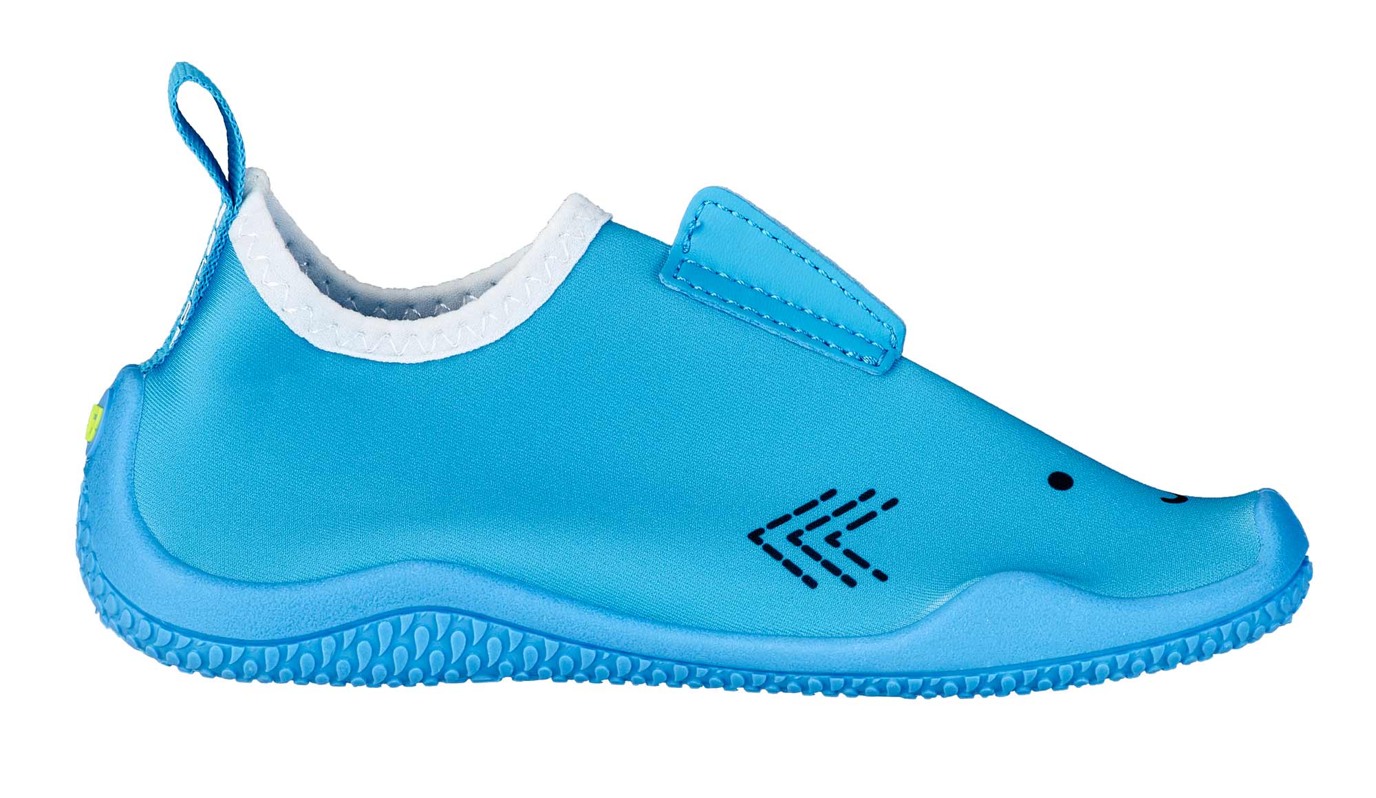 shark-blue-04